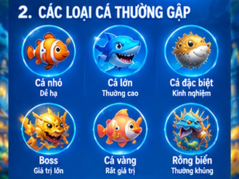 Các loại cá thường gặp