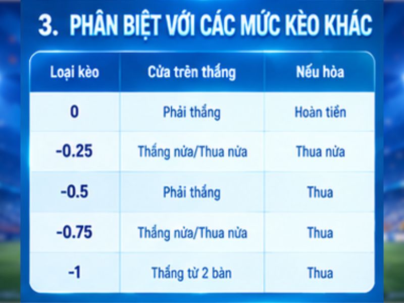 Phân biệt kèo chấp 0.5 với các mức kèo phổ biến